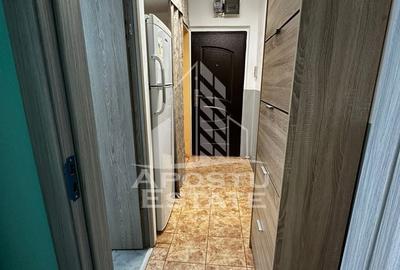 Apartament cu 2 camere semidecomandat, mobilat în Șagului - 3