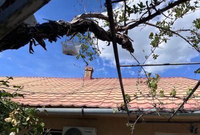 Casă cu 3 camere în Central - 5