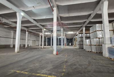 Spațiu industrial, de 6,500 mp, în Nord