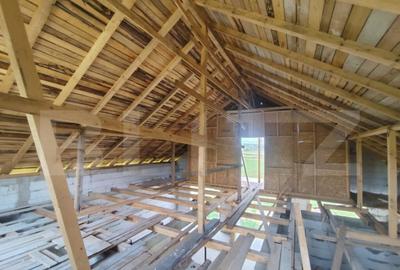 Casa spatioasa la rosu, 2024, 2800 mp teren, zona Andrieseni - 6