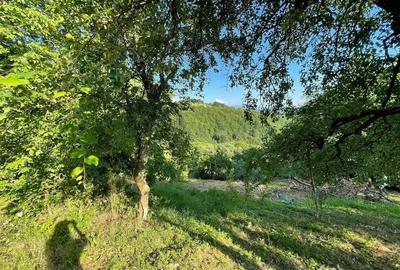 Teren de 9409 mp, în Roșia - 10