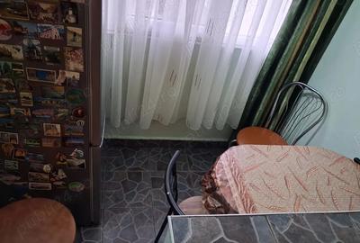 Garsonieră semidecomandată în Brazda lui Novac - 3