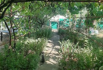 Casă cu 6 camere în Cotorca - 12