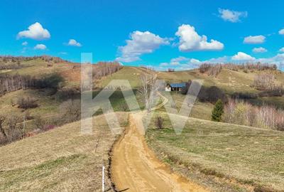 Teren 16469 mp extravilan arabil  Poiana Marului zona Vulcanita - 10