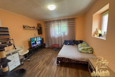 Casa cu anexe si teren de 1000 mp de vanzare in comuna Spinus-Bihor - 19