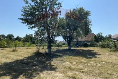 Casă cu 3 camere cu Teren 3760 Mp în Arieșu de Pădure