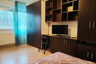 Garsoniera decomandata Craiovita - Aristizza Romanescu - 4