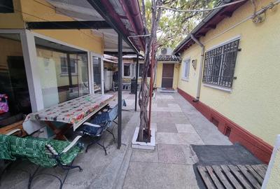 Viile noi-casa la sol cu garaj - 7