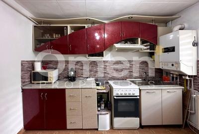 Apartament cu 3 camere semidecomandat, mobilat în Săsar - 3