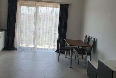 Apartament cu 2 camere decomandat, mobilat în Aradului - 7