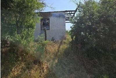 Casa si teren Cucuruzu, ID: R2609648 - 7