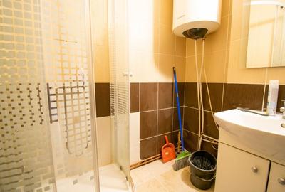 Garsonieră semidecomandată, mobilată în Dristor - 15