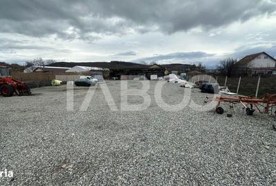 Spațiu comercial, în Șura Mare - 1