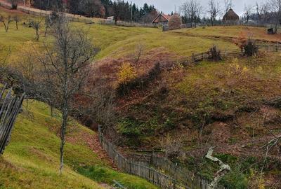 Vand casa locuibila cu teren aferent situata in satul Alun (Comuna Bo?orod) - 3