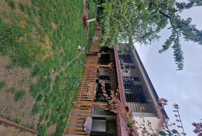 Casă cu 4 camere cu Teren 700 Mp în Giarmata - 3