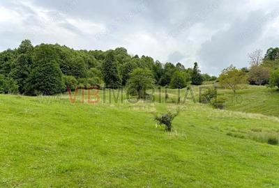 Teren de poveste in inima Brezei, zona Nistoresti - 4