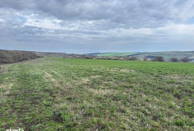 Teren de 1100 mp, în Iris - 1