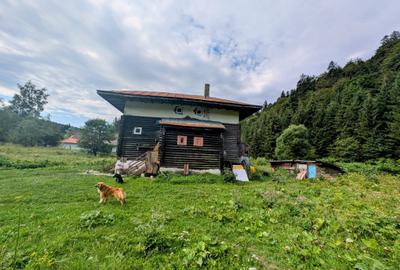 Predeal,P+1,casa din busteni,in spatele terenului-raul Prahova,posibil extindere - 4