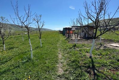 Casă cu 3 camere în Nord