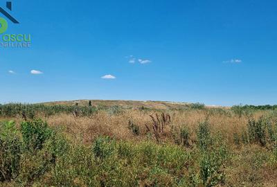 Teren de 11350 mp, în Giulești - 4