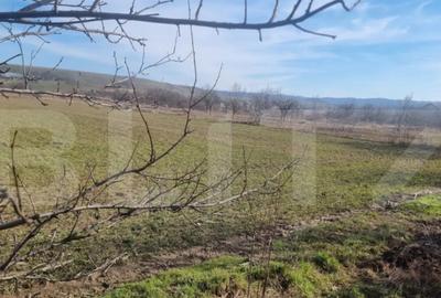 Teren în Lipănești