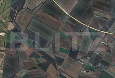 Teren de 11600 mp, în Remetea Mare