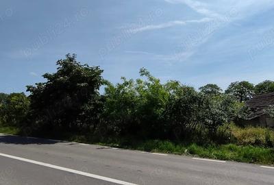 Teren de 925 mp, în Berceni - 2