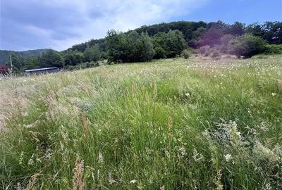 Teren intravilan de 1762 mp, în Someșu Rece - 4