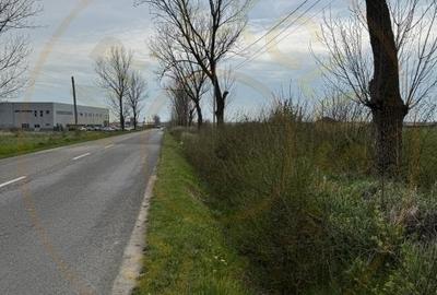Teren extravilan de vanzare - Cateasca, Arges | 27.201 mp | Deschidere 58,55 m