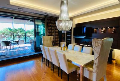 Penthouse Sos. Nordului cu vedere la Parcul Herastrau - 4