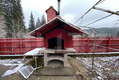 Vila cu potential de transformare in pensiune, 13 camere, Ti - 10