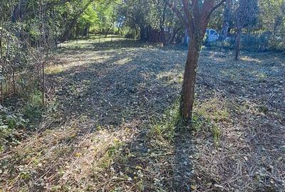 Casă cu 2 camere în Cristur-Crișeni - 3