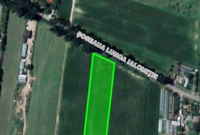 Teren de 7265 mp, în Siliștea Snagovului - 2
