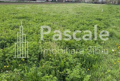 Teren de 2200 mp, în Gușterița - 3