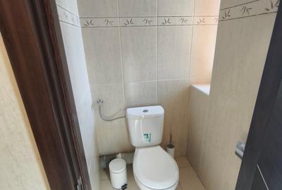 Apartament cu 2 camere semidecomandat, mobilat în Dumbrăvița - 5
