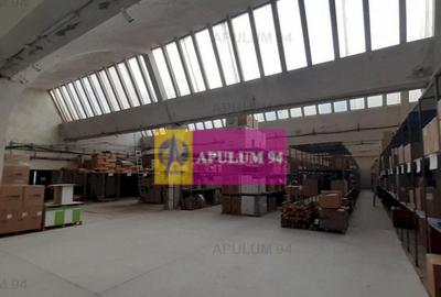 Hala 3600mp zona de Sud a capitalei - 1