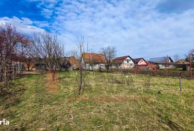 Casă cu 2 camere cu Teren 790 Mp în Central - 12