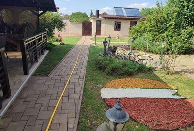 Casă individuală cu 7 camere cu Canalizare în Sânandrei - 10