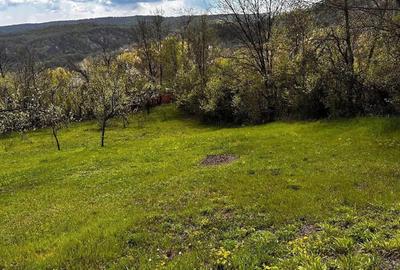 Teren de 2350 mp, în Surani - 8
