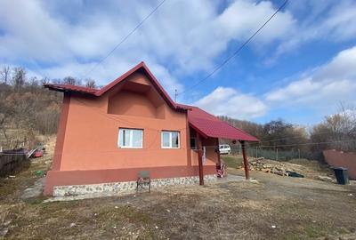 Casă individuală cu 3 camere în Valea Mare-Podgoria