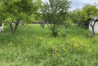 Casă individuală cu 3 camere cu Teren 1095 Mp în Central - 4