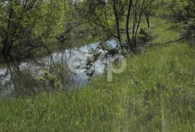 Teren de 3015 mp, în Moșoaia