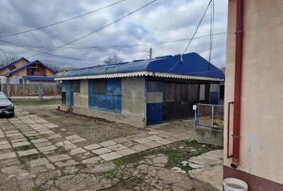 Spațiu comercial, de 287 mp, în Buciumi - 4