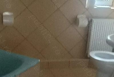 Spatiu comercial de inchiriat - 3