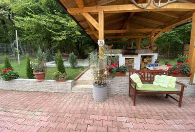 Vila  Frumoasa , Sibiu ,6 camere , 5 Bai , mobilata ,utilata - 13