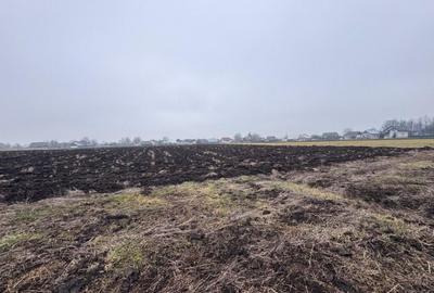 Teren intravilan, 3800mp , Fratautii vechi - 1