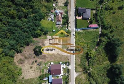 Teren 1ha + autorizatie de constructie - DE VANZARE - 4