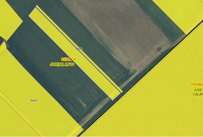 CERNICA-POSTA, LOT 8956 MP, LA PADURE! - 2