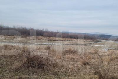 Teren de 141356 mp, în Lipănești - 2