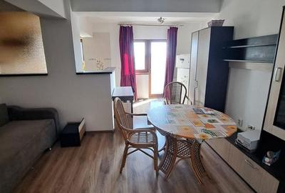 Apartament cu 2 camere semidecomandat în Obcini - 5